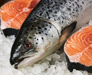 Cá hồi Nauy nguyên con(1kg)